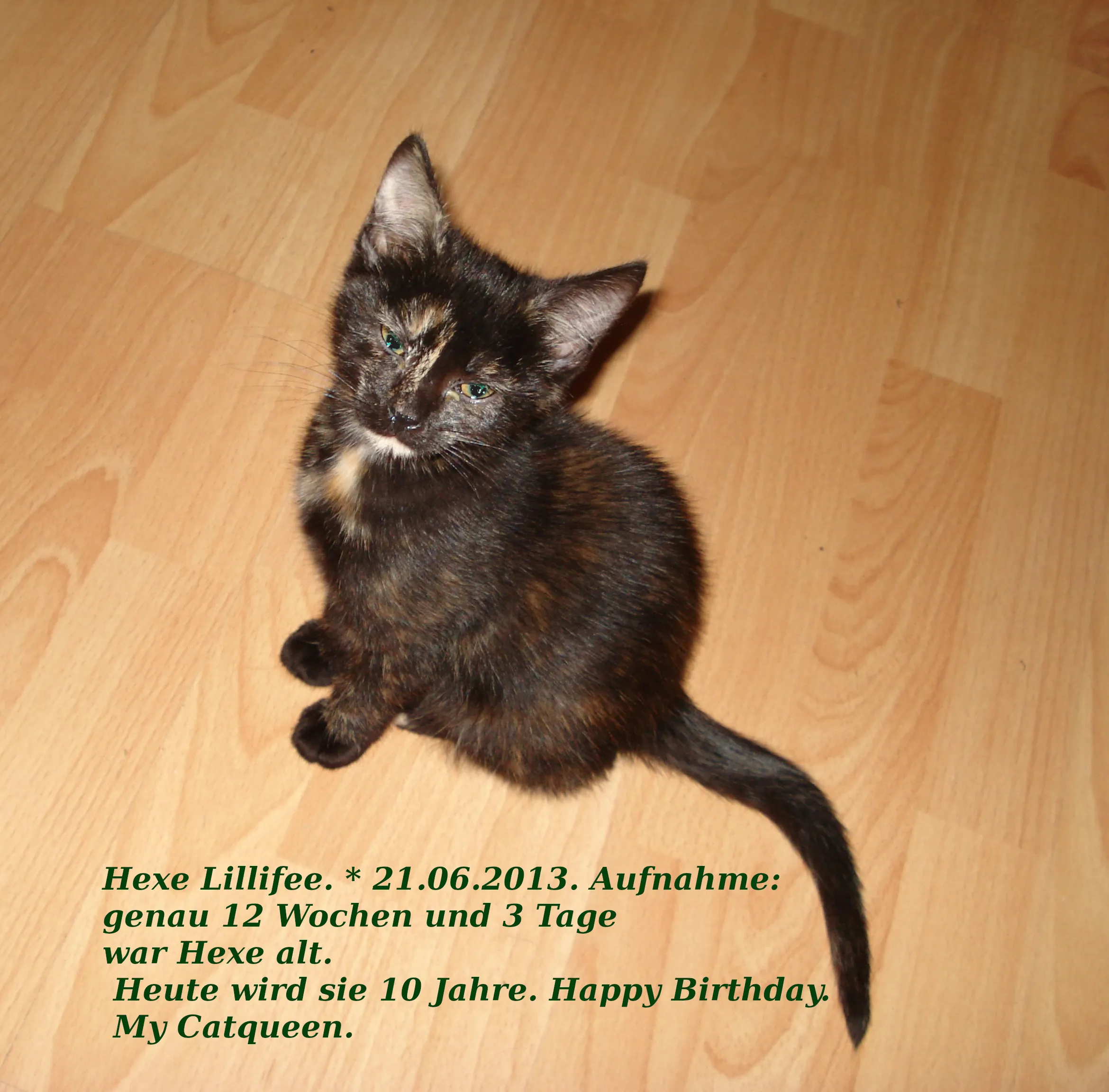 Bildschirmfoto_2023-12-31